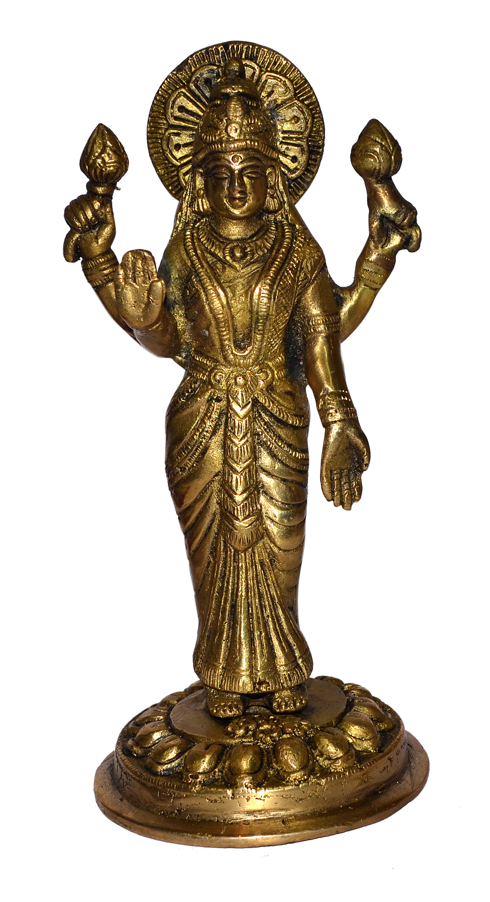 Dhanvantri Idol 