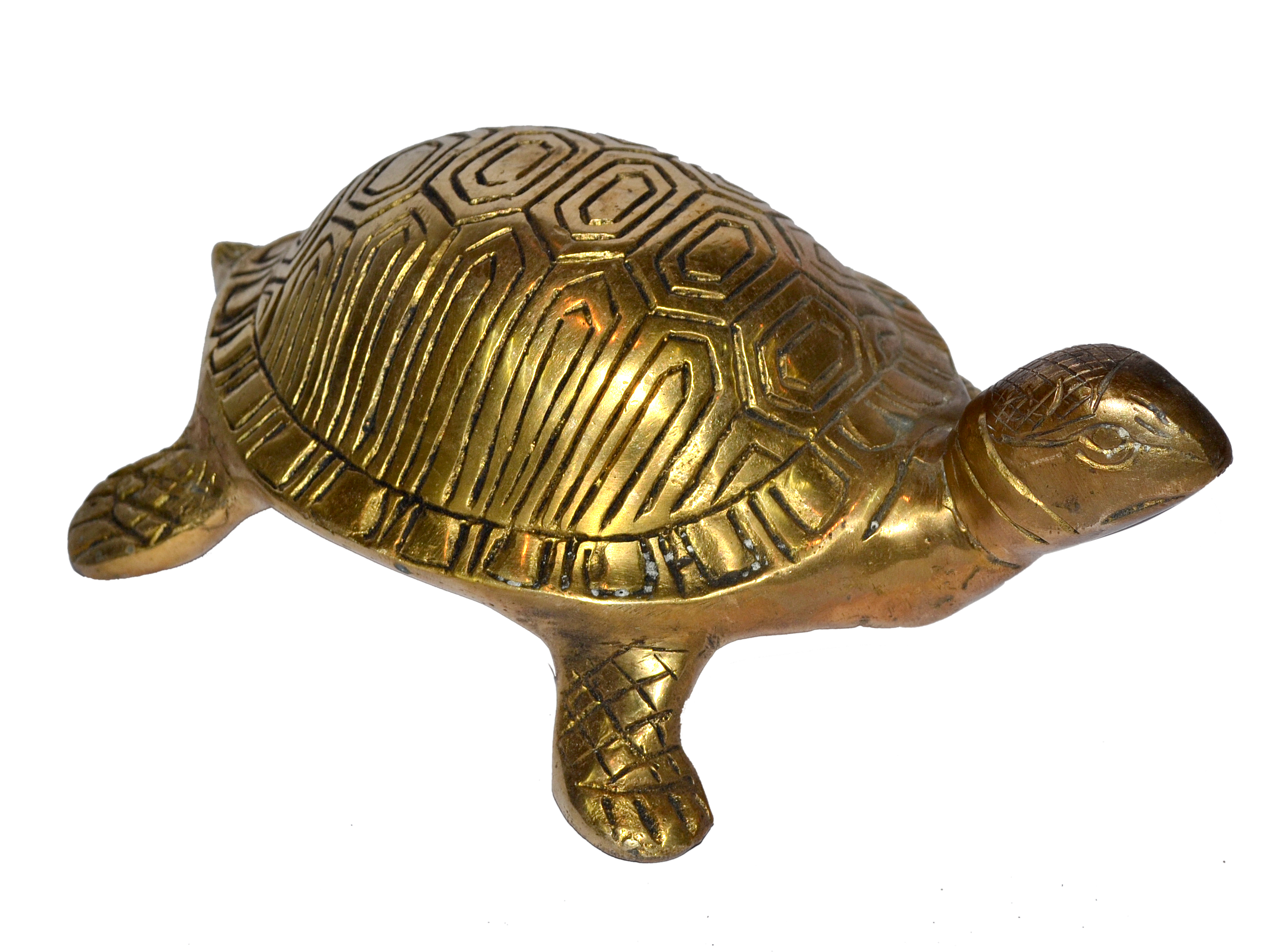 Tortoise In Brass 