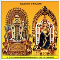 SARVA DOSHA NIVARANA STHALAM-Thiruvarur Thyagarajaswamy Shiva Temple-Tiruvarur, TamilNadu
