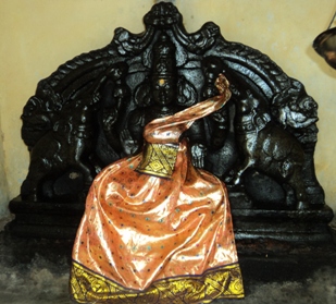 Puja For Raahu Bhagawan Dosham-Sri Naganathaswamy Temple