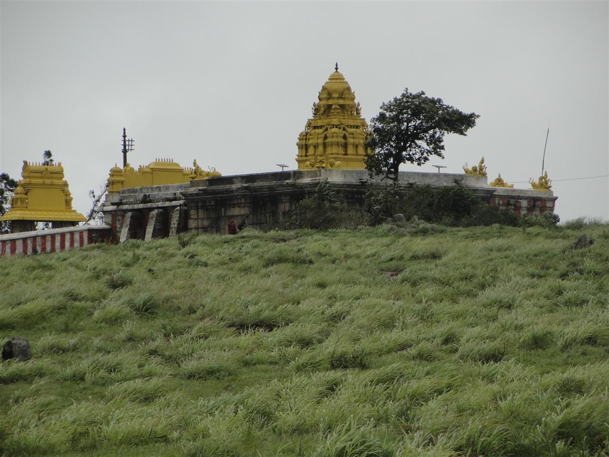 Venugopalaswamy Krishna Temple