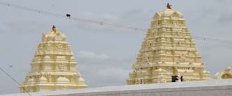Kadir Narasingaperumal Narasimha Temple-Reddiarchathram