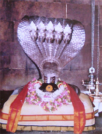 Kodumudi Sri Magudeshwarar Temple-Kodumudi,Erode, TamilNadu