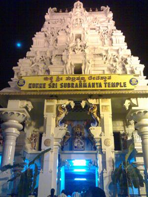 Sri Nagadevatha Sannadhi-Kukke Subramanya Temple