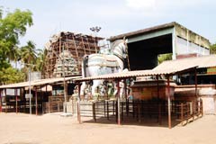 Madapuram Bhadra Kali Amman & Ayyanar Temple