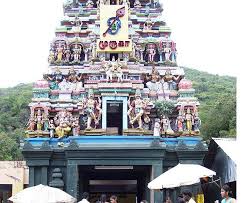 Pazhamudirsolai Subramanya Swamy Murugan Temple