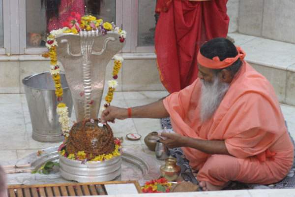 Sri Parvati Sannadhi-Sri Nageshwar Temple Jyotirlinga Temple