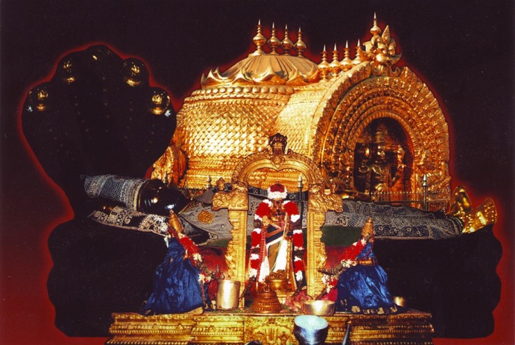 Puja For Navagraha Dosham-Sudharshanar Chakrathalwar