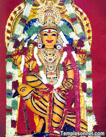 Puja for Shani Bhagawan(Saturn)