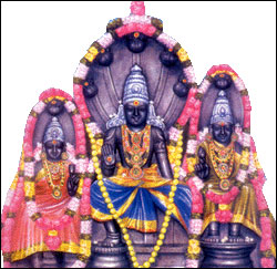 Puja For Raahu Bhagavan Dosham-Thirunageshwaram