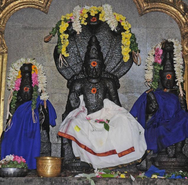 Raahu Bhagawan Temple-Tirunageshwaram, TamilNadu