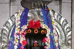 Sri Tirupaampuram Seshapureeshwarar Temple-Tirupaampuram