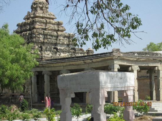 Tirupattur Brahmapureeshwarar Shiva & Brahma Temple